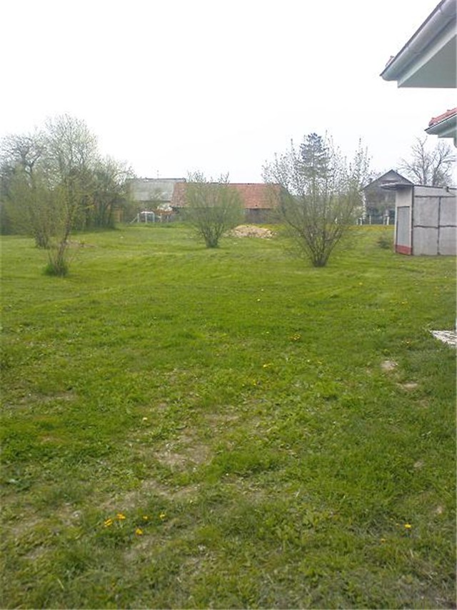 Lješnjaci